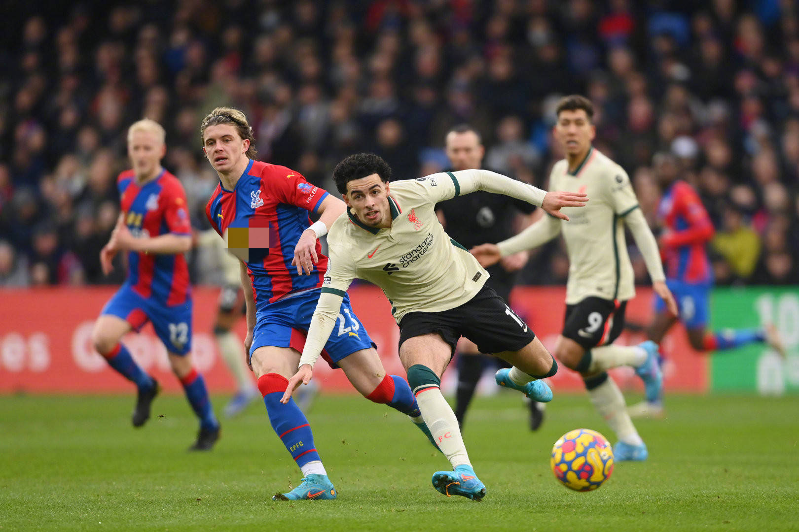 上并不少见 上并不少见