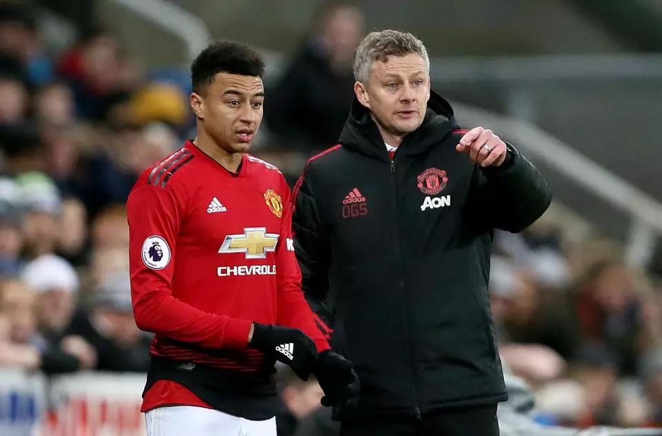 在比赛中 在比赛中